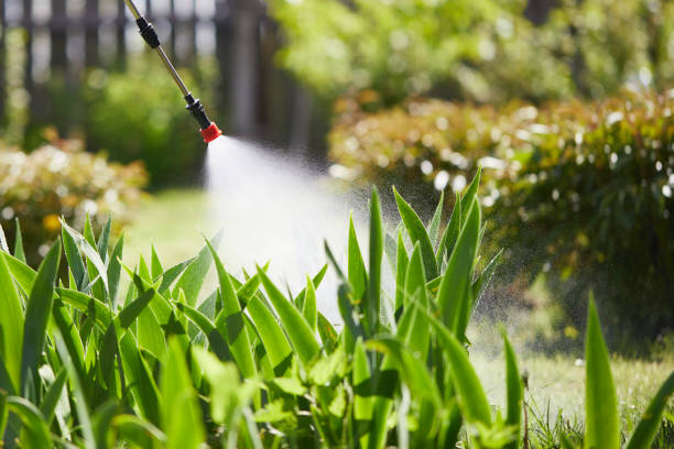 24/7 Emergency Wasp Removal experts in East Jordan, MI